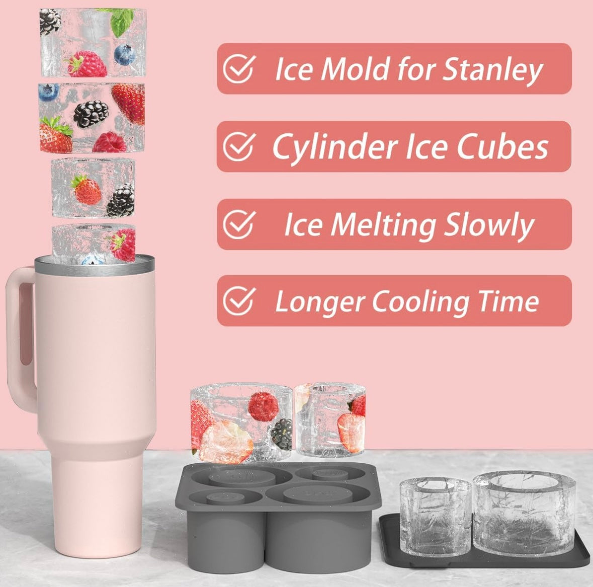 Stanley Ice Mold